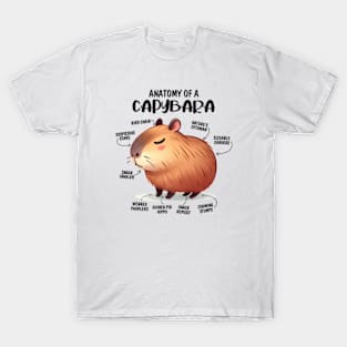 Anatomy Of A Capybara T-Shirt